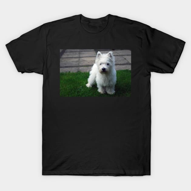 Westie puppy T-Shirt by princess-pirate